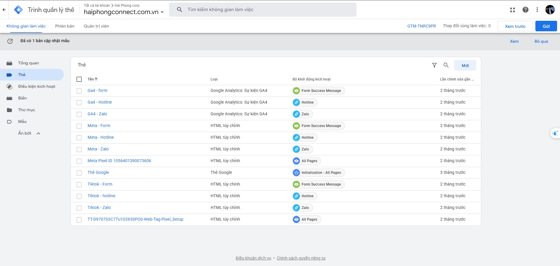 Mitsubishi Viet Hong marketing tracking implementation